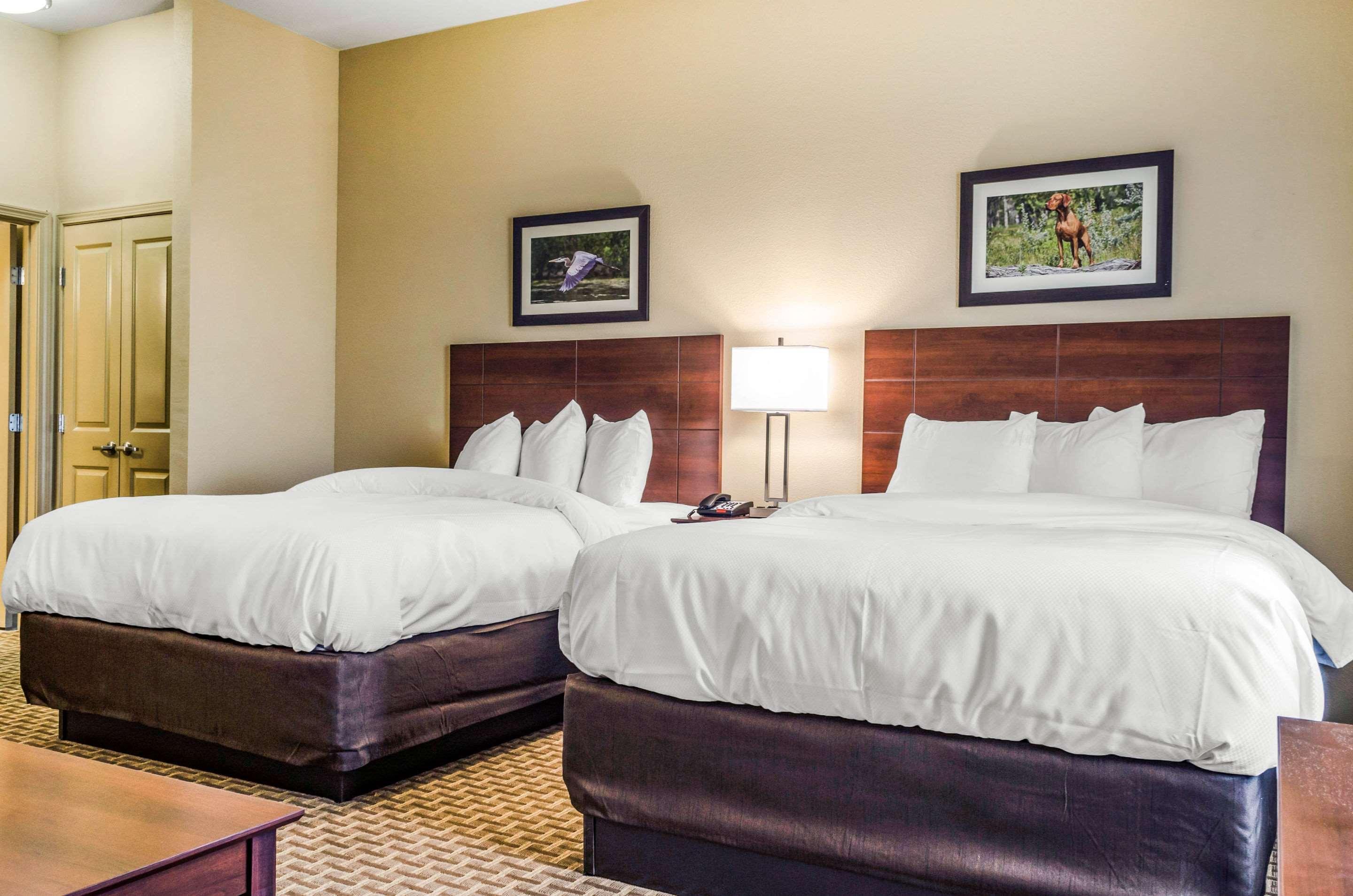 Mainstay Suites Hackberry Sportsman'S Lodge מראה חיצוני תמונה